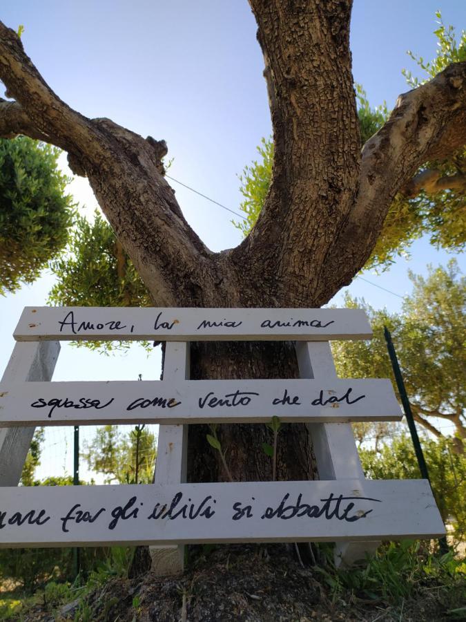 Relais Il Giardino Fra Gli Ulivi Villa Torino di Sangro Luaran gambar