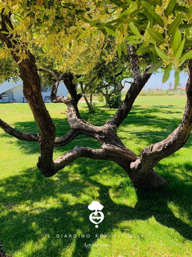 Relais Il Giardino Fra Gli Ulivi Villa Torino di Sangro Luaran gambar
