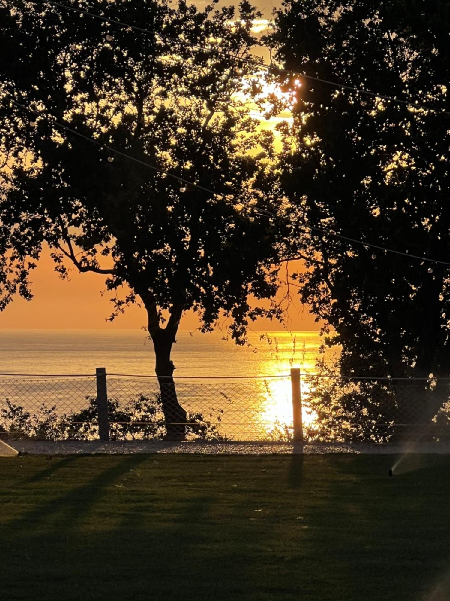 Relais Il Giardino Fra Gli Ulivi Villa Torino di Sangro Luaran gambar