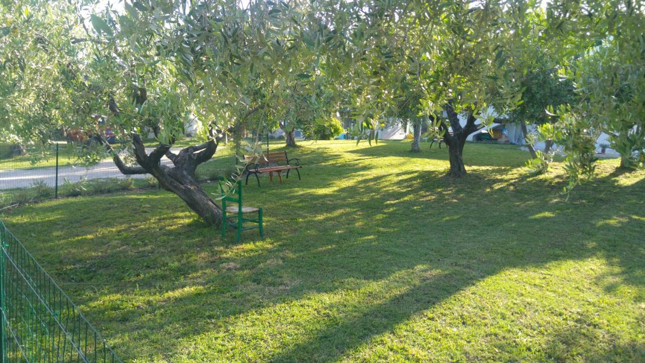 Relais Il Giardino Fra Gli Ulivi Villa Torino di Sangro Luaran gambar